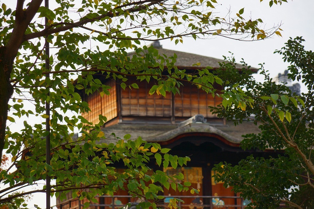 残念 西本願寺の飛雲閣の拝観が今年からできなくなりました