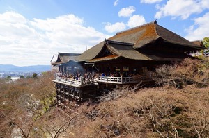 DSC03229.jpg