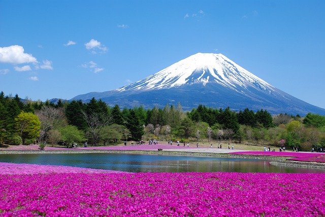 別倉庫からの配送 世界文化遺産 富士山 champs21.com