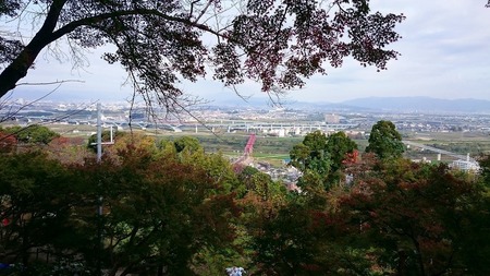 DSC_0333_1.jpg