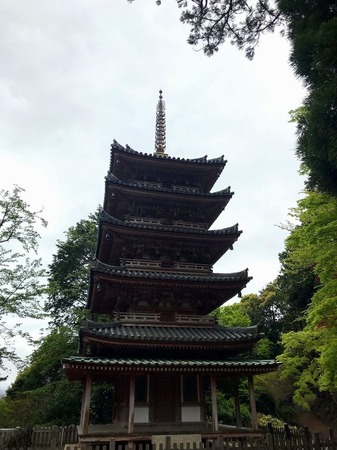 IMG_1668.jpg
