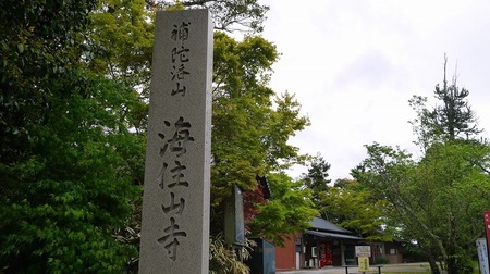 P1050212.jpg
