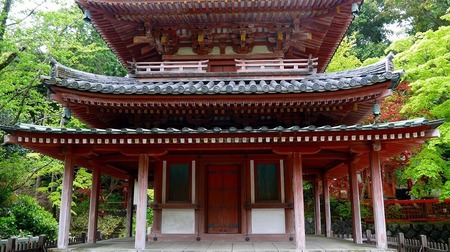 P1050231.jpg