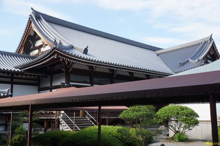 s-DSC07664.jpg