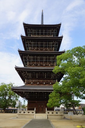 s-DSC07696.jpg