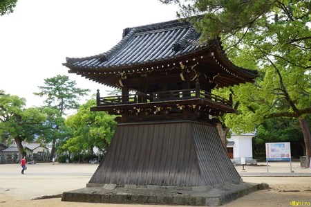 s-DSC07698.jpg