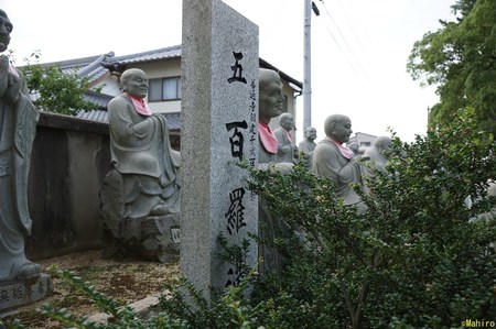 s-DSC07712.jpg