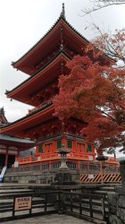 s-P_20161119_080807_vHDR_On.jpg