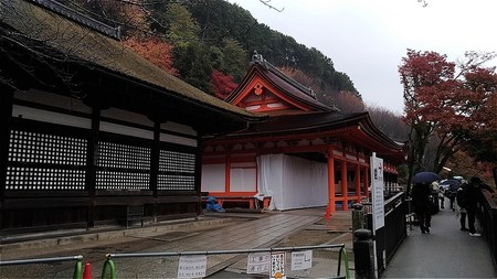 s-P_20161119_082003_vHDR_On.jpg